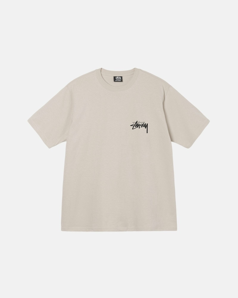 Beige Stussy Diced Out Men's T Shirts | OPQ-859732