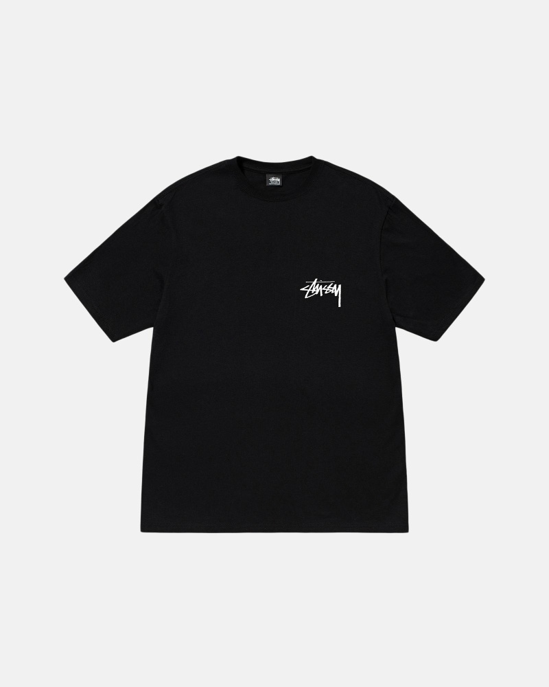 Black Stussy Diced Out Men's T Shirts | MTC-129706
