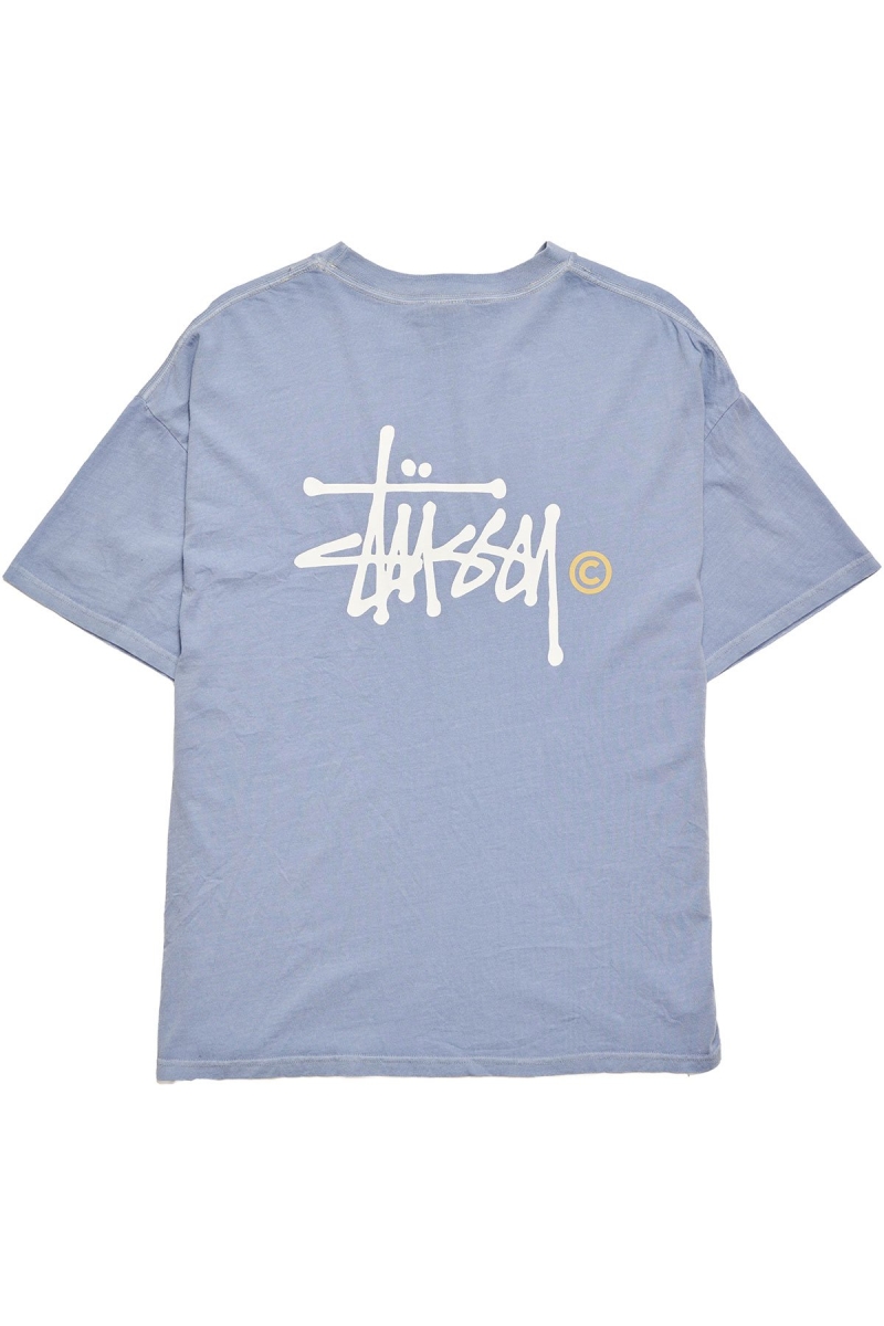 Blue Stussy Graffiti Women's T Shirts | IUH-692074