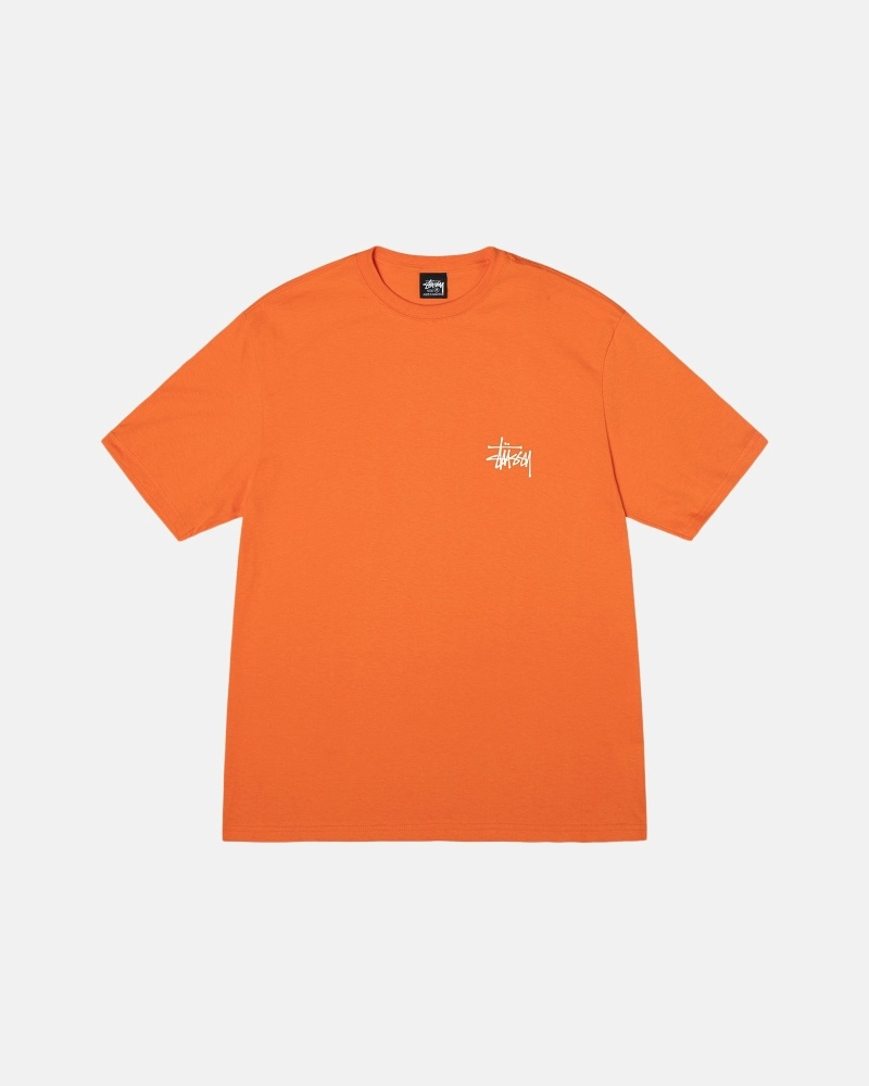 Coral Stussy Basic Men's T Shirts | GFS-071348