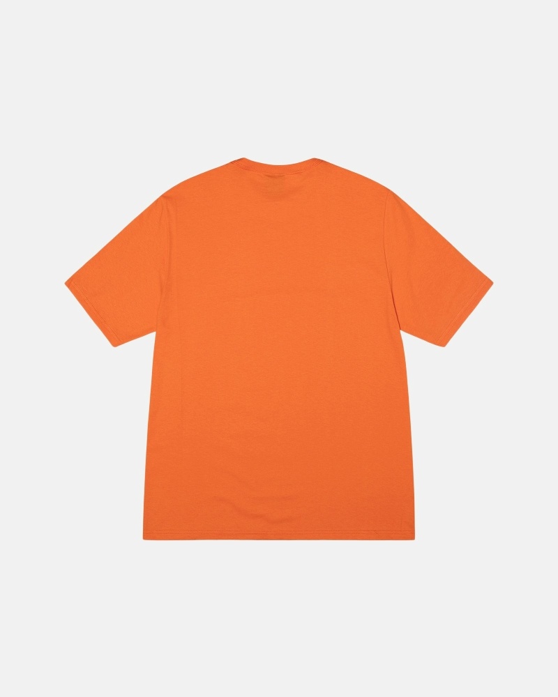 Coral Stussy Stock Box Men's T Shirts | TLY-742938