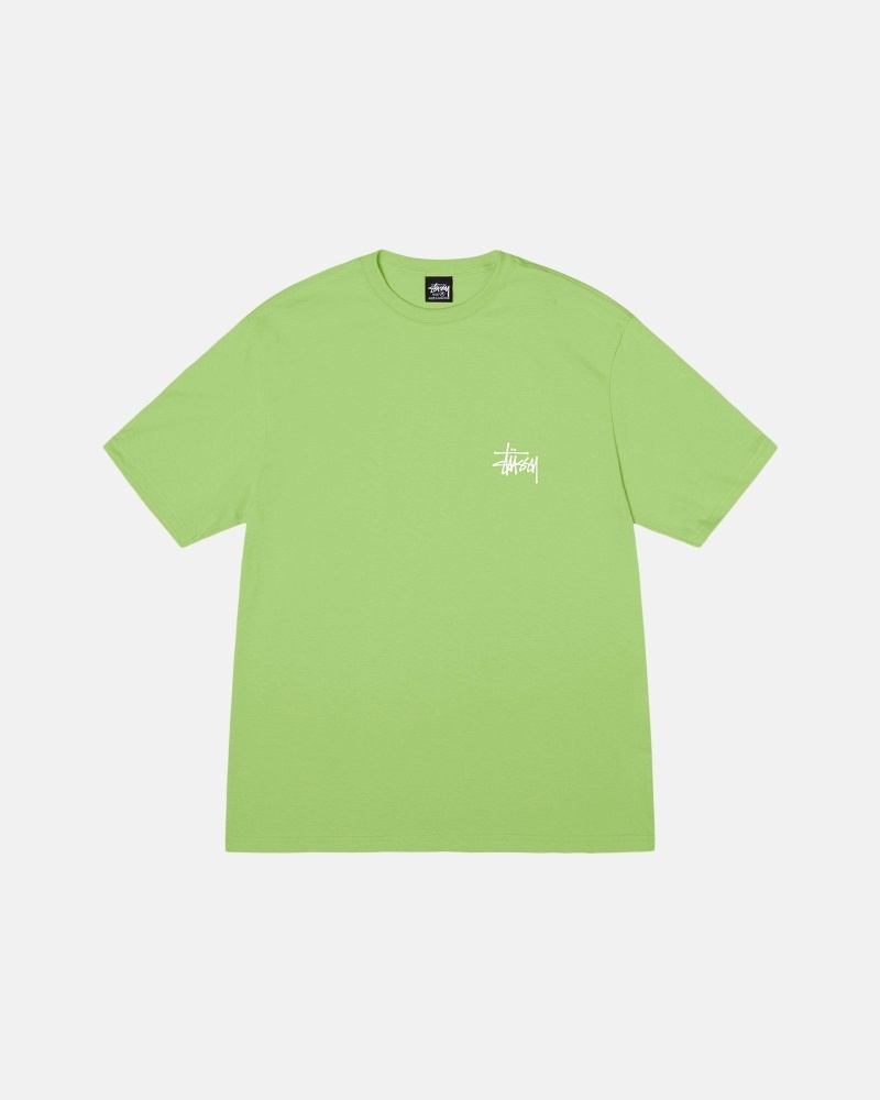 Green Stussy Basic Men's T Shirts | HVS-096281