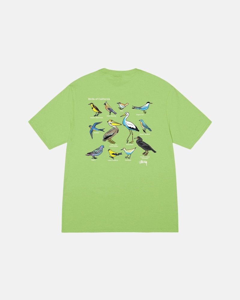 Green Stussy California Birds Men's T Shirts | QJO-845372