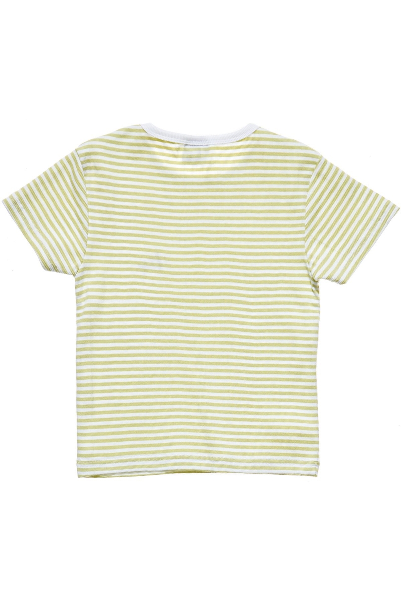 Green Stussy Hyde Stripe Rib Women's T Shirts | XSN-537684