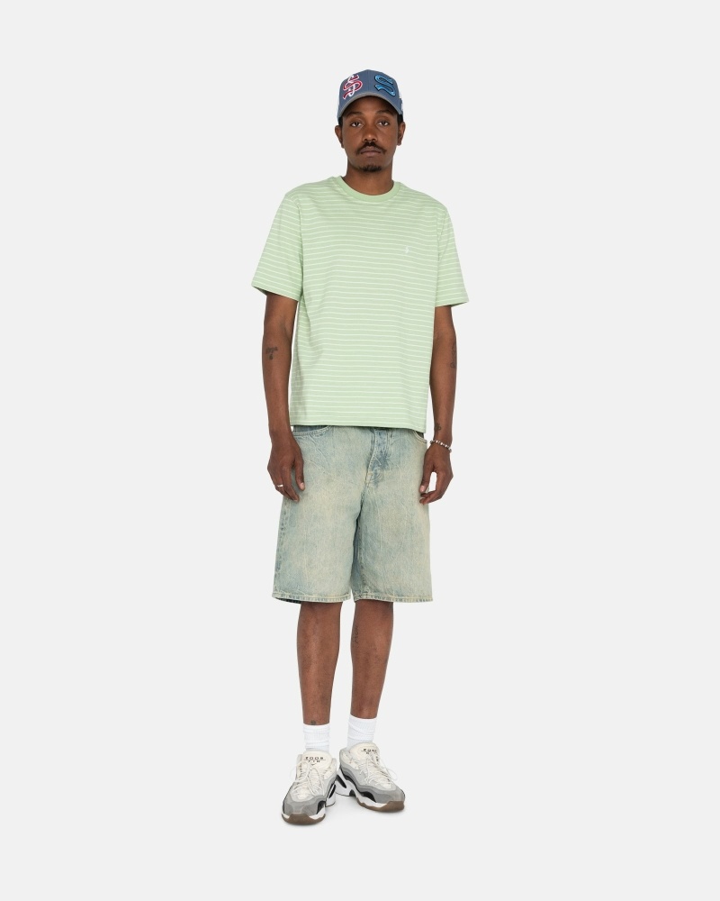 Green Stussy Pin Striped Ss Crew Men's T Shirts | HLR-943607