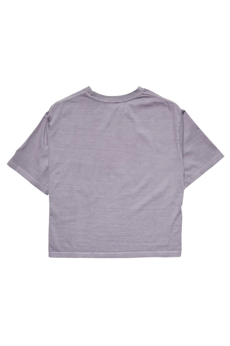 Grey Stussy Text Waisted OS Tee Women's Sportswear | TIR-028914