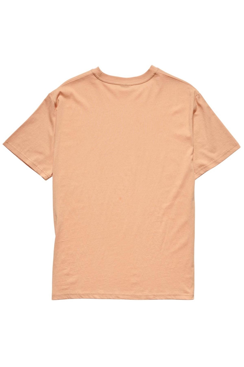 Orange Stussy Collegiate BF Women's T Shirts | AND-926507