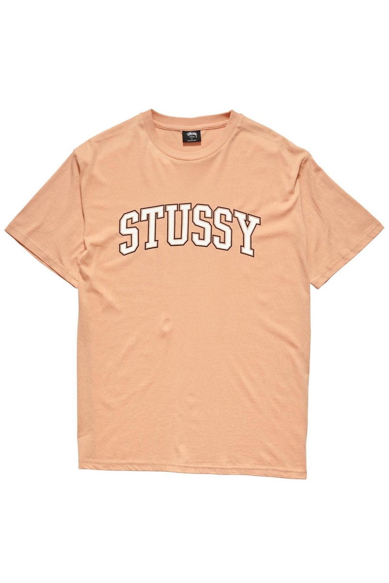 Orange Stussy Collegiate BF Women\'s T Shirts | AND-926507