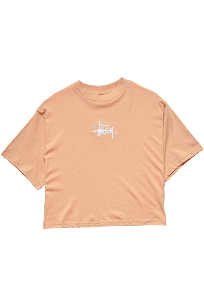 Orange Stussy Graffiti Boxy Women\'s T Shirts | CFL-815924