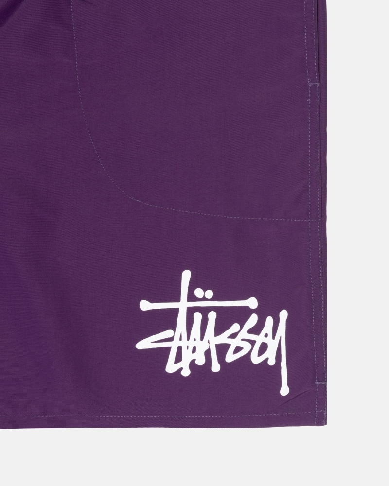 Purple Stussy Big Basic Men's Shorts | KBU-095812