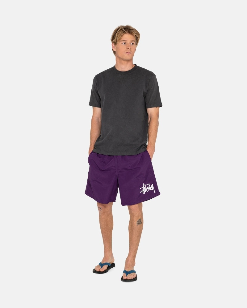 Purple Stussy Big Basic Men's Shorts | KBU-095812