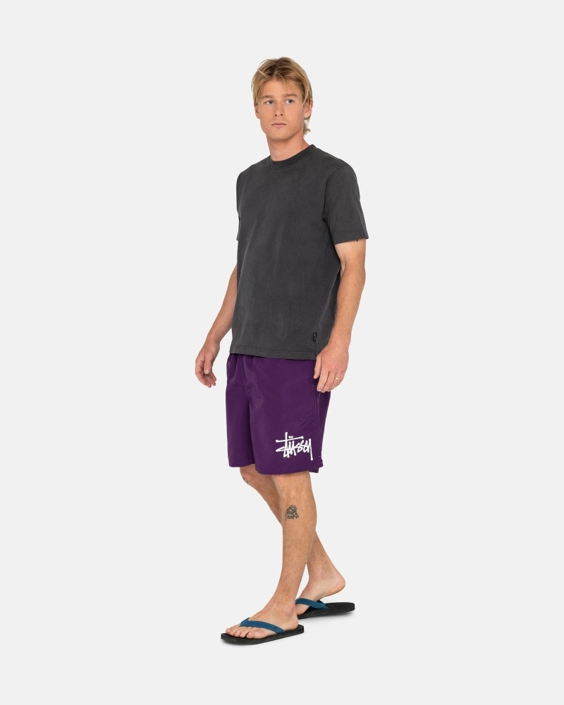 Purple Stussy Big Basic Men's Shorts | KBU-095812