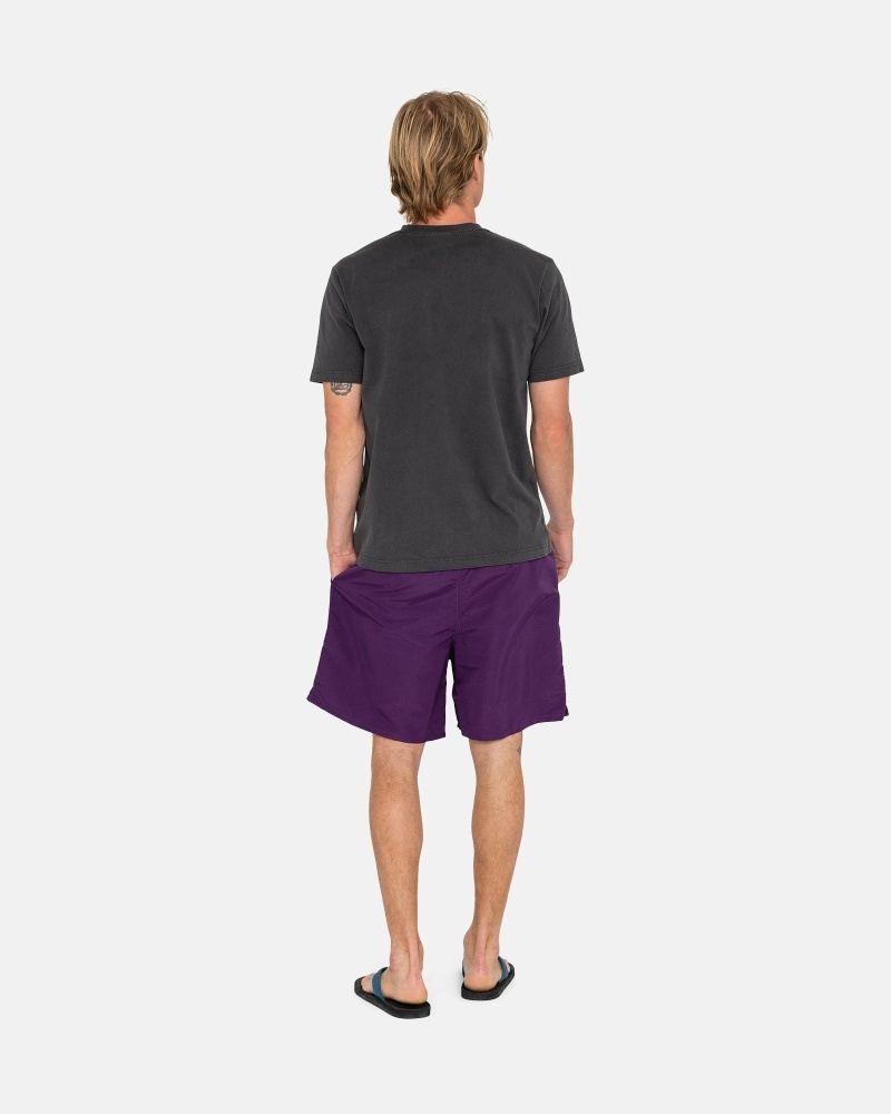 Purple Stussy Big Basic Men's Shorts | KBU-095812