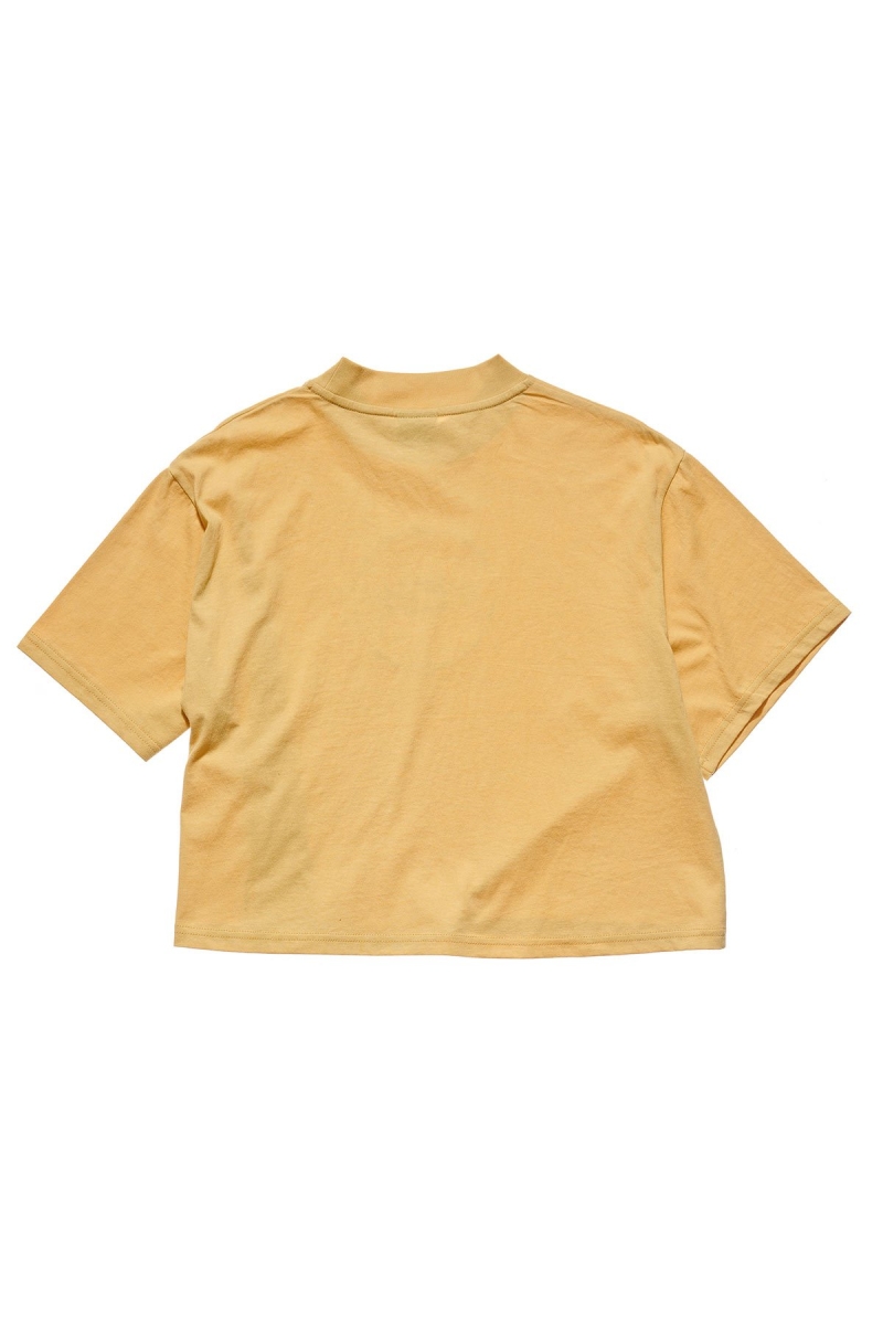 Yellow Stussy Laguna Boxy Women's T Shirts | NQA-174952