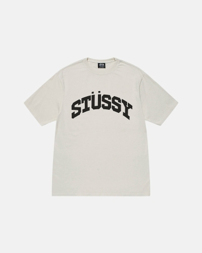 Beige Stussy Block Sport Pigment Dyed Men's T Shirts | DOF-904578