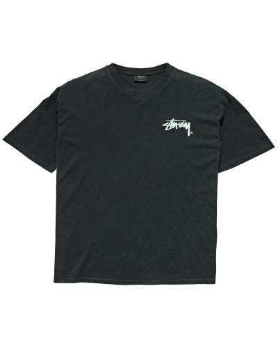 Black Stussy Shadow Stock SS Men's T Shirts | NPB-142895