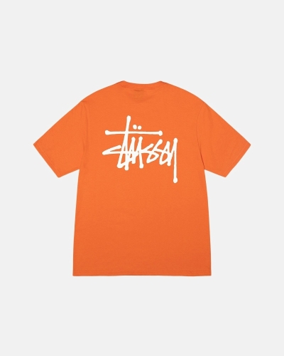 Coral Stussy Basic Men's T Shirts | GFS-071348