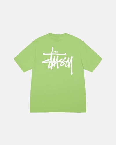 Green Stussy Basic Men's T Shirts | HVS-096281