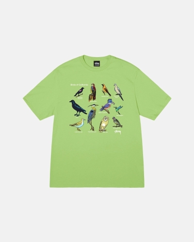 Green Stussy California Birds Men's T Shirts | QJO-845372