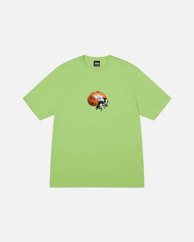Green Stussy Ladybug Men's T Shirts | YUP-843615
