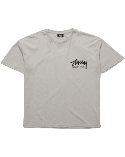 Grey Stussy Solid Stock International SS Men's T Shirts | CAM-615403