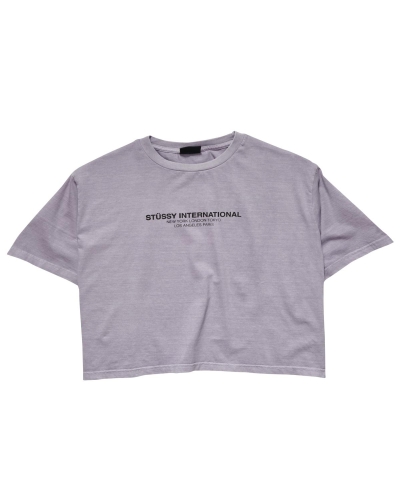 Grey Stussy Text Waisted OS Women's T Shirts | TGA-095237