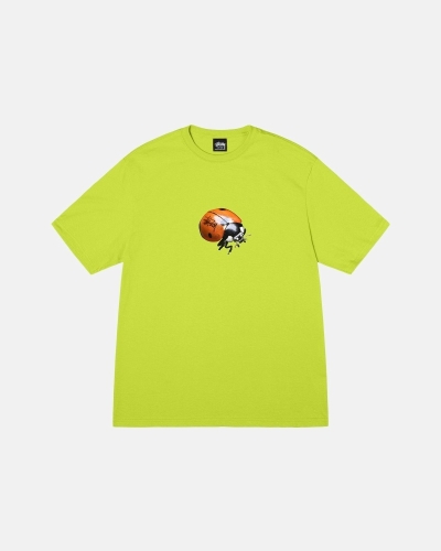 Light Green Stussy Ladybug Men's T Shirts | LFZ-835706