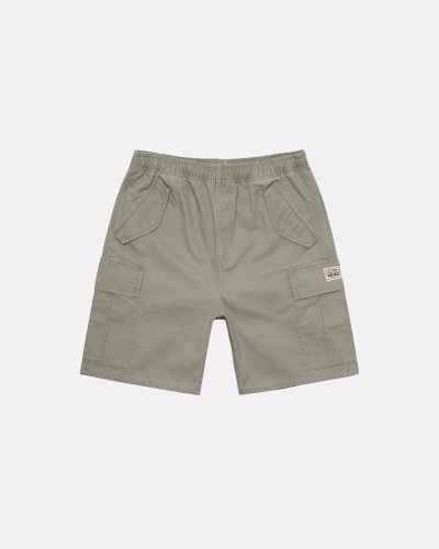 Olive Stussy Ripstop Cargo Men's Shorts | YEM-842795