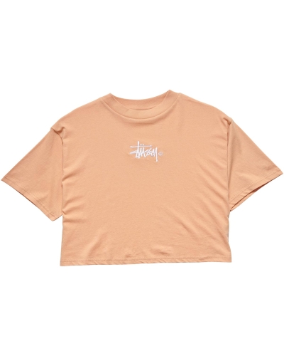 Orange Stussy Graffiti Boxy Women's T Shirts | CFL-815924