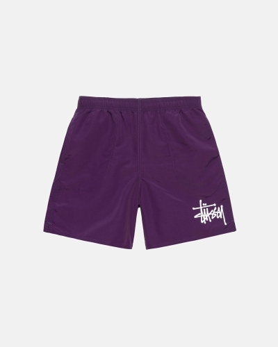 Purple Stussy Big Basic Men's Shorts | KBU-095812