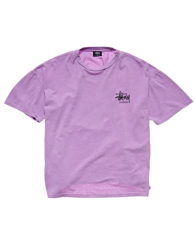 Red Stussy Regal Relaxed Women's T Shirts | AFM-496215