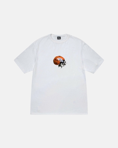 White Stussy Ladybug Men's T Shirts | TVQ-781236